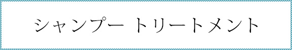 シャンプートリートメント