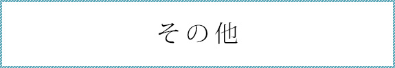 その他