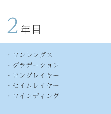カリキュラム　2年目
